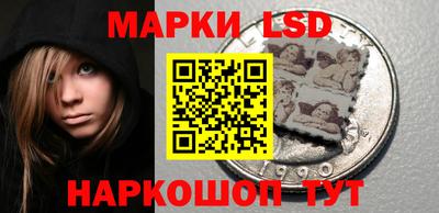 индика Лесосибирск