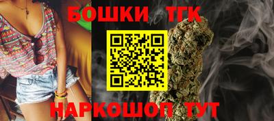 индика Лесосибирск