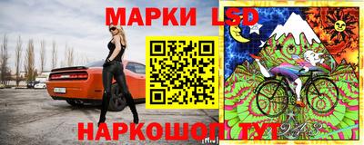 индика Лесосибирск