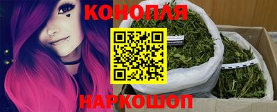 индика Лесосибирск
